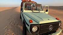 Dubai: Al Marmoom Oasis Vintage Safari: Camels, Stargazing & Meal