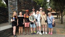 2 days Johannesburg /Soweto/Apartheid/cradle human kind