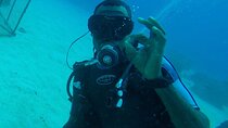 Discover Scuba Diving in Montego Bay-ONE Tank (First time Diving)