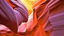 Upper or Lower Antelope Canyon & Horseshoe Bend Tour from Page