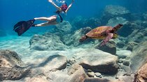 Turtle Gardens West Maui Snorkel Tour
