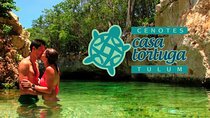 Tour 4 Cenotes Casa Tortuga Tulum. Food + Zipline. Includes Pickup.