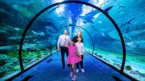 The National Aquarium Abu Dhabi Ticket