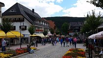 Full-Day Private Tour from Zurich to Lake Titisee Black Forest