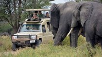 5 Days Tanzania Wildlife Encounter Camping Safari!