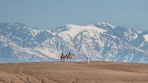  Marrakesh: Atlas Mountains and Agafay Desert Tour 
