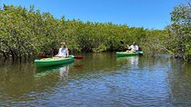 2 Hour Tandem Kayak Tour (Price for 2 People)