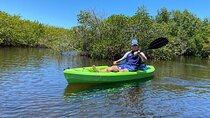 2 Hours Kayak Eco Tour in Tarpon Springs