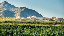 Cafayate Wine Trail Excursion: Explore Salta's Vineyards