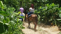 Horseback 'Ride N Swim' & Dunns River Falls from Montego Bay