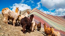 Rainbow Mountain in One Day from Cusco 2023 (Private Service)