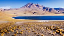 Altiplanic Lagoons and Piedras Rojas