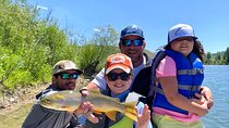 Half-Day Traditional Driftboat Fly Fishing at Jackson Hole