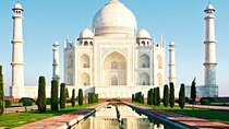From Delhi: Taj Mahal Sunrise Tour with Elephant Conservation