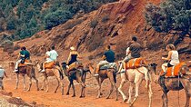 Atlas Mountains & Camel Ride Day Trip