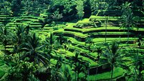 Best Ubud Culture with Shopping Spree