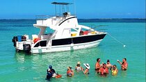 Private Charter Catamaran Sailing and Snorkeling