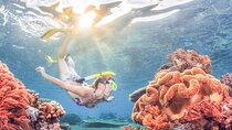 Snorkeling at Blue Lagoon Bali with Lunch and Transport