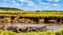 8-Day Grumeti Migration Safari-Luxury Tour May-July