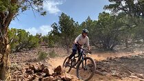Private Guided Bike Tours near Cedar City & Brian Head