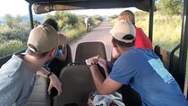 Pilanesberg national park tour-Open safari vehicle