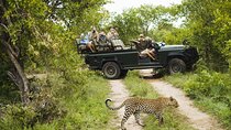 All-Inclusive BIG 5 Kruger Full Day Safari from Hazy View