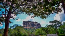 14-Day Private Tour in Sri Lanka