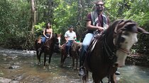 Horseback Riding in the jungle near Panama City