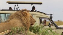 3-Day Private Masai Mara Safari