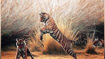 3 Days Ranthambore Tigers, Bharatpur & Taj Mahal Tour From Jaipur