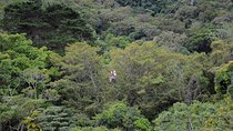Zipline tour on the central valley of Costa Rica