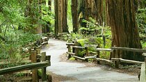 Alcatraz Muir Woods Express with Golden Gate Bridge Visit