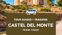 Trani – Castel del Monte: organized tour in 3 hours