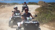 Quad or Buggy Tour from Coral Bay to Akamas Forest