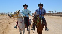  Desert Horse Riding in Sharm El Sheikh