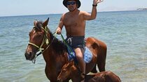 Desert Horse Riding in Sharm El Sheikh
