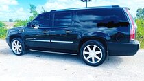 Private Transfer from Punta Cana to Bayahibe or vice versa