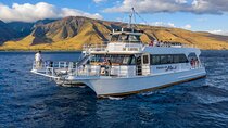 Maui Sunset Dinner Cruise - A Hawaiian Hula Experience