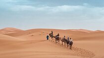Overnight Tour From Fes to Sahara Desert
