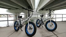 Electric Bike rental 1 Hr