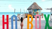 Full Day Tour of Holbox Island and Yalahau Cenote with Lunch