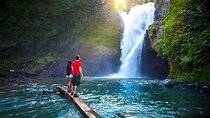 Private Tour: Waterfall, Kintamani Volcano, Ubud Tour with Lunch