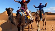Ride the Camels for Sunset in Merzouga Dunes