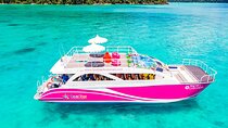Phi Phi, Maya, Khai and Pileh Day Trip by Speed Catamaran From Phuket