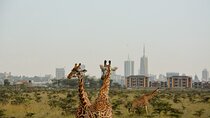 Half-Day Nairobi National Park and Maasai Market with Pick up