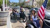Wine Tasting Sidecar: 2.5-Hour Private Tour in San Diego