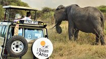10-Day Amazing Comfort Camping Safari