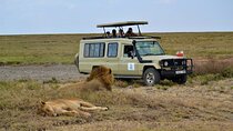 7-Day North Tanzania Classic Safari