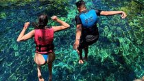 Full Day Tour to 5 Magical Cenotes in the Riviera Maya