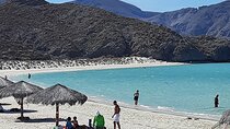 Private Tour to Playa Balandra, La Paz and Todos Santos